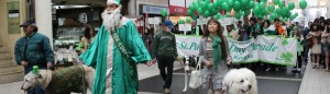第7回 熊本2012 セント・パトリックス・デイ・パレード アイキャッチ画像